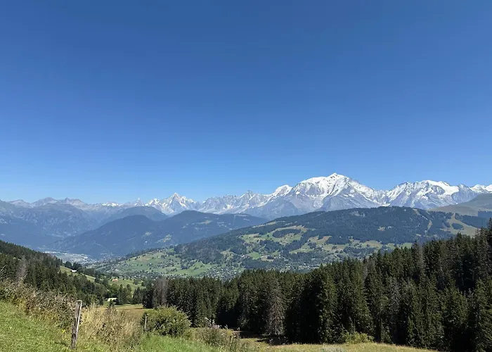 Soleil D'or Au Coeur De 梅杰夫