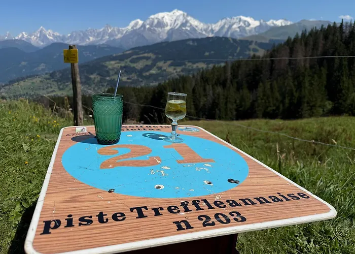 公寓 Soleil D'or Au Coeur De 梅杰夫