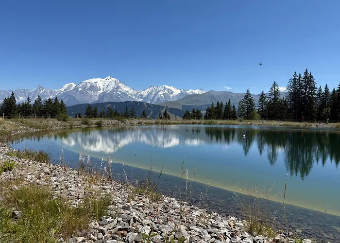 公寓 Soleil D'or Au Coeur De 梅杰夫