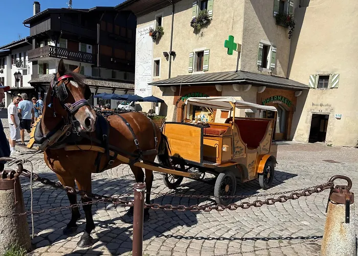 Soleil D'or Au Coeur De 梅杰夫